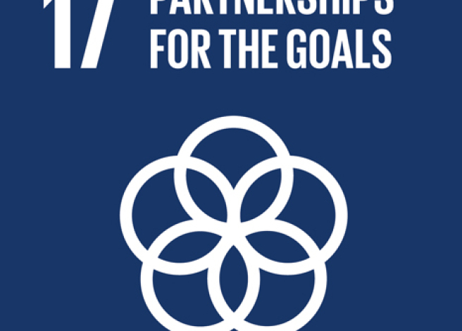 partnerships for the goals